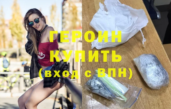 индика Ельня