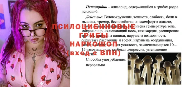 ПСИЛОЦИБИНОВЫЕ ГРИБЫ Елабуга