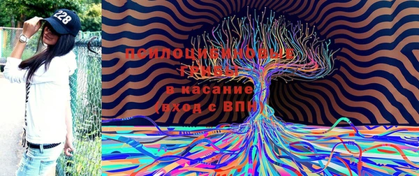 гидра Осташков