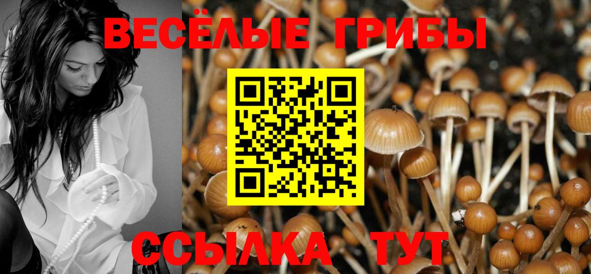 Галлюциногенные грибы Psilocybine cubensis  Вход с VPN  Апрелевка 