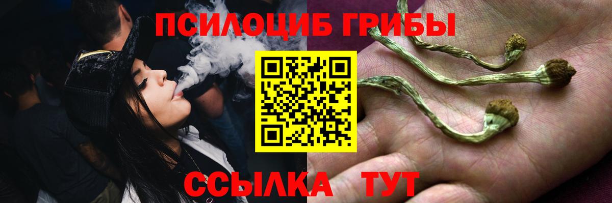 Псилоцибиновые грибы мухоморы Апрелевка