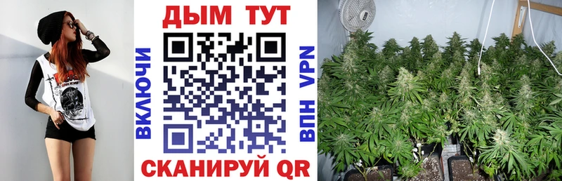 Шишки марихуана Ganja Апрелевка