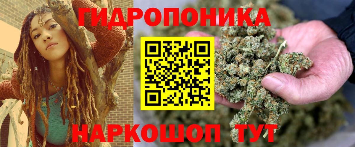 Каннабис гибрид  Апрелевка  Бошки марихуана Amnesia  Шишки марихуана THC 21% 